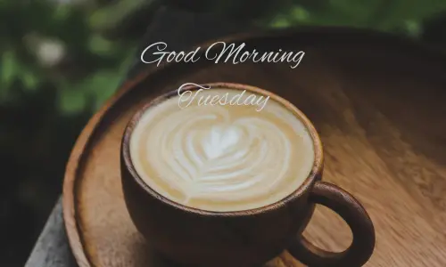 good morning tuesday gif